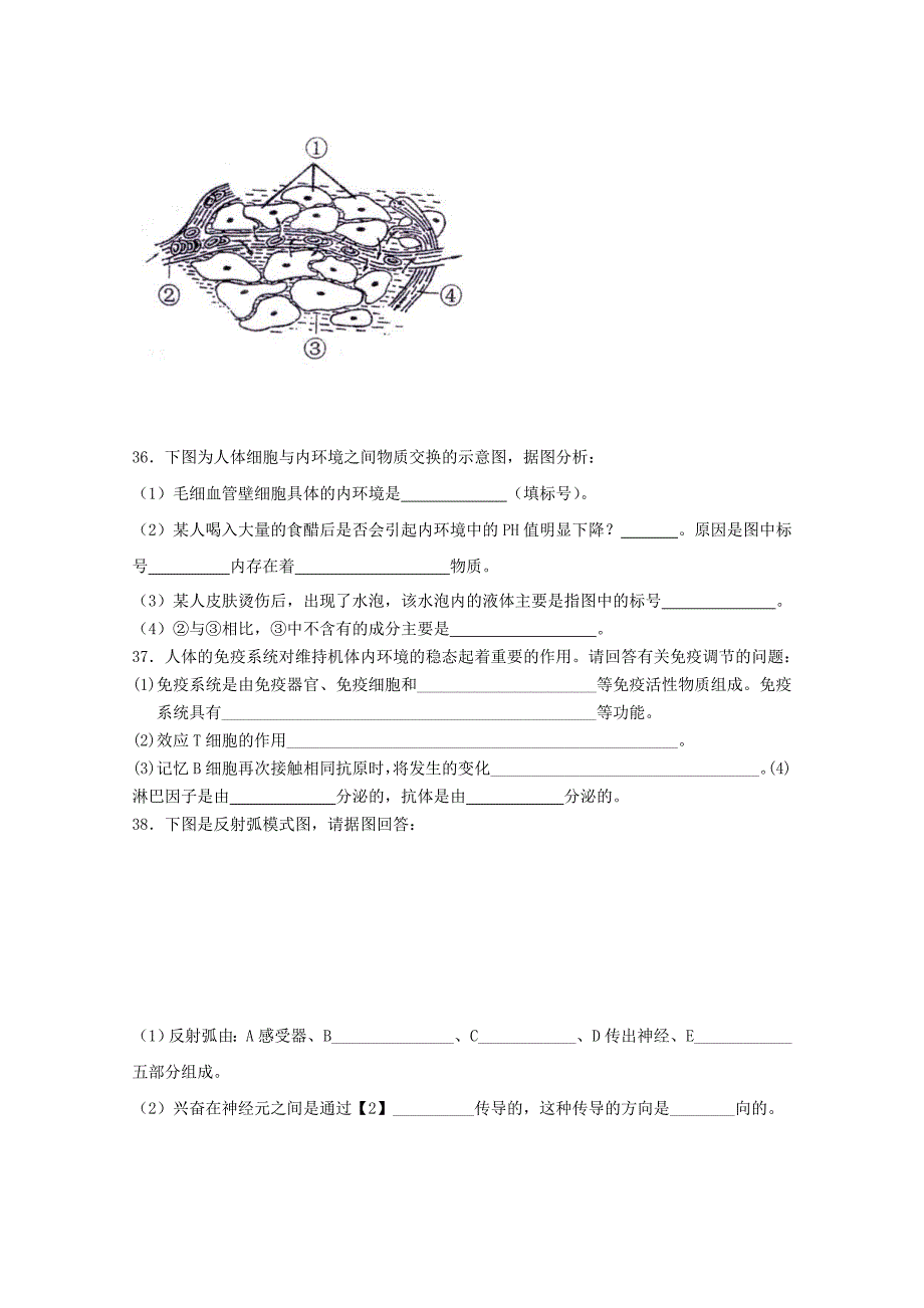 陕西省渭南市希望高中2010-2011学年高二生物上学期期中考试（无答案）新人教版_第4页