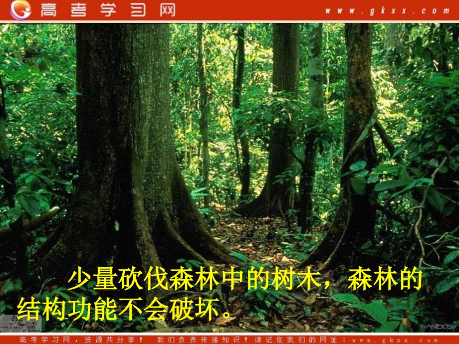 高中生物《生态环境的稳态》课件1（18张PPT）（苏教版必修3）_第3页