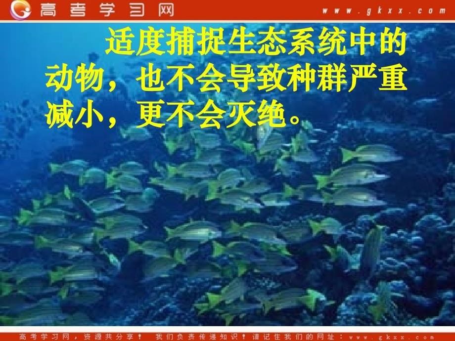 高中生物《生态环境的稳态》课件1（18张PPT）（苏教版必修3）_第5页