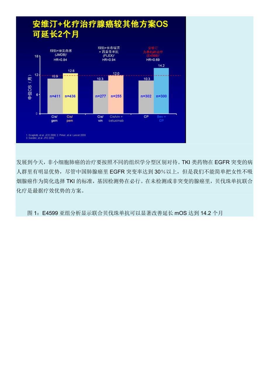 晚期肺腺癌的一线治疗策略_第4页