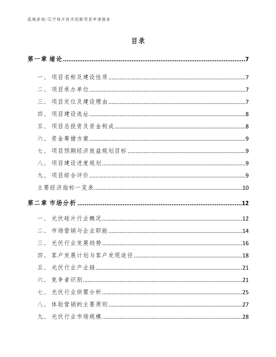 辽宁硅片技术创新项目申请报告_参考范文_第1页