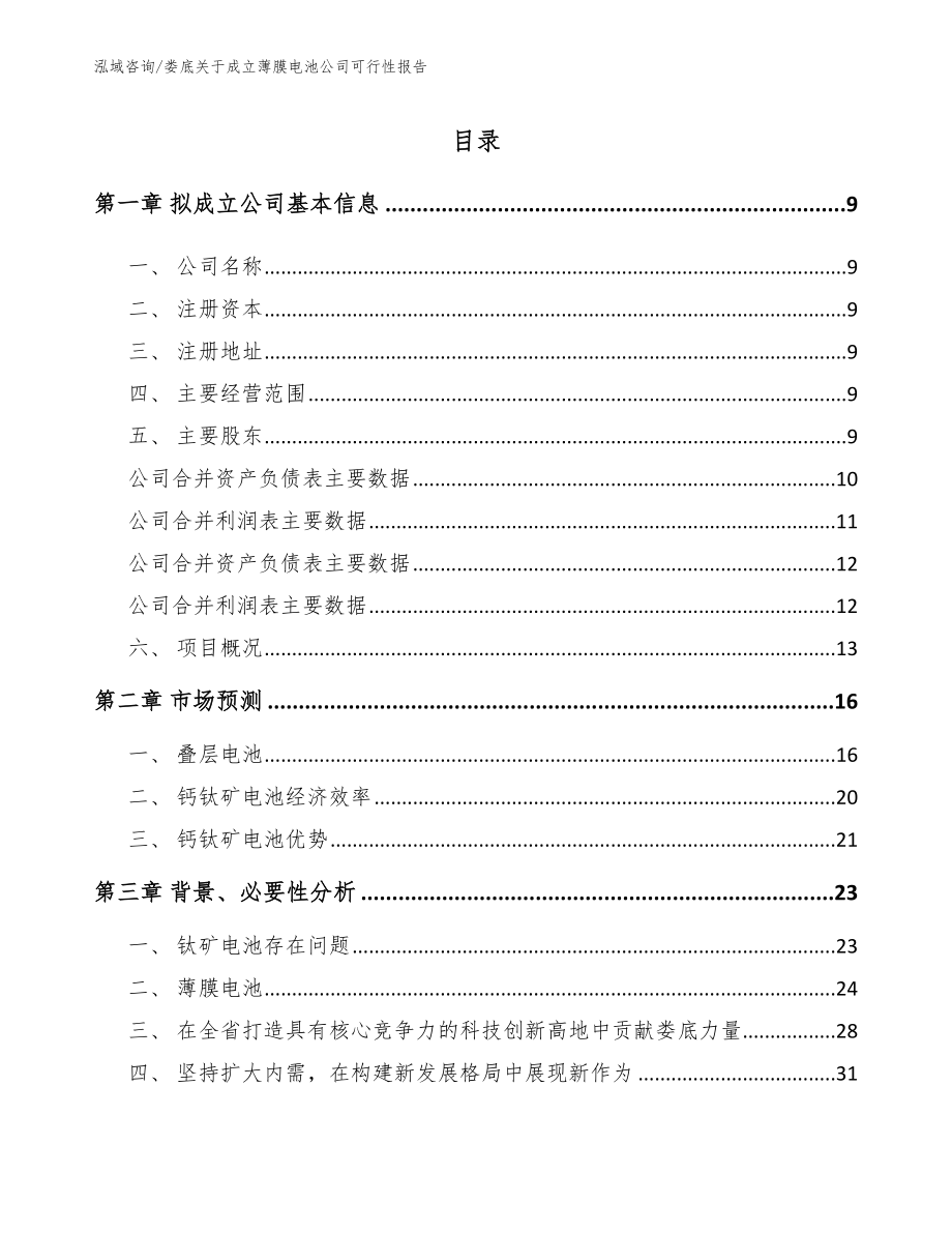 娄底关于成立薄膜电池公司可行性报告参考范文_第2页