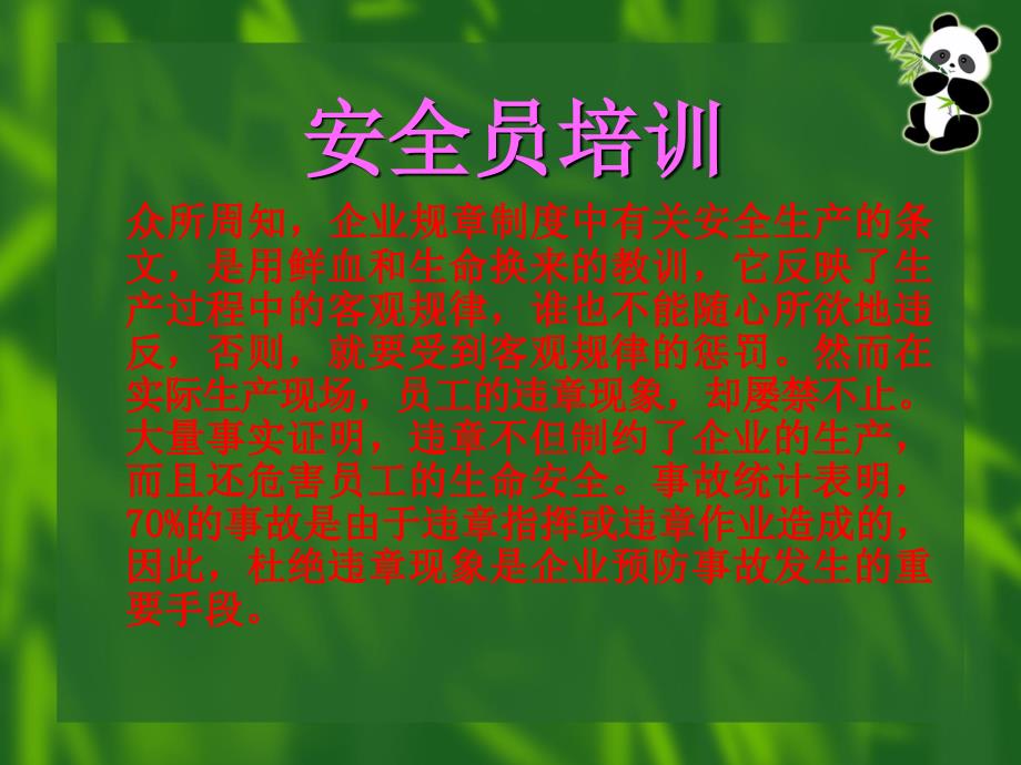 跟班安全员培训课件.ppt_第2页