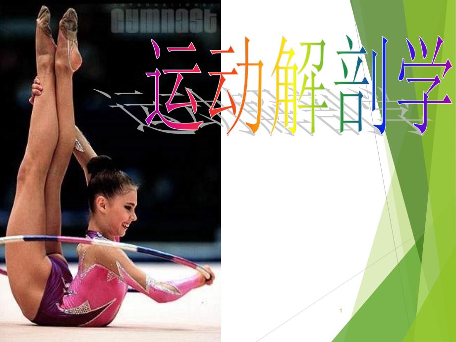 肌肉详细讲解.ppt_第1页