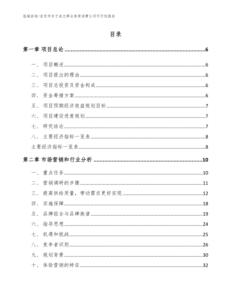 自贡市关于成立群众体育消费公司可行性报告参考模板_第1页