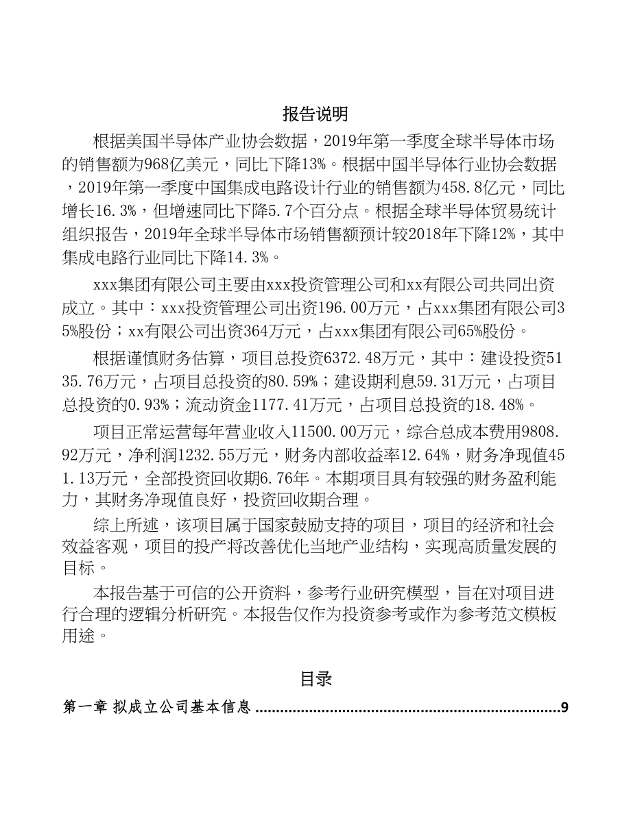 合肥关于成立处理器芯片公司可行性报告(DOC 91页)_第2页