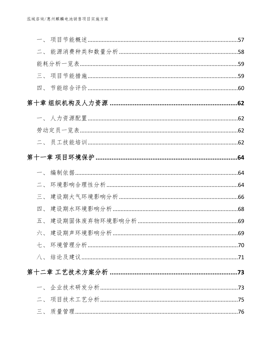 惠州麒麟电池销售项目实施方案（范文）_第3页
