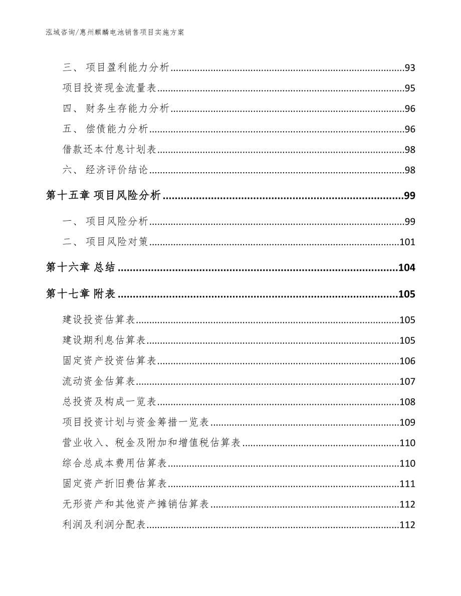惠州麒麟电池销售项目实施方案（范文）_第5页