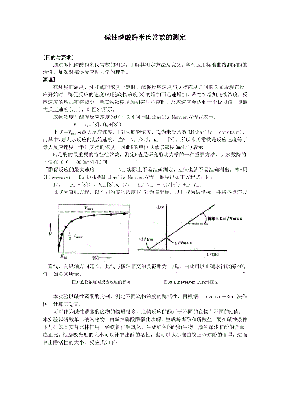 碱性磷酸酶米氏常数的测定0001_第1页
