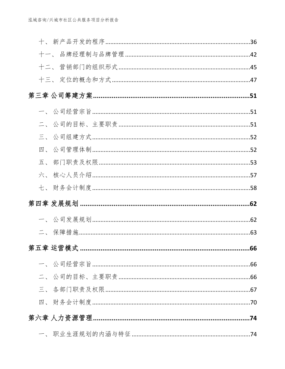 兴城市社区公共服务项目分析报告【范文】_第4页