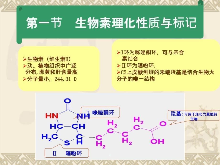 生物素亲和素反应的放大技术_第5页