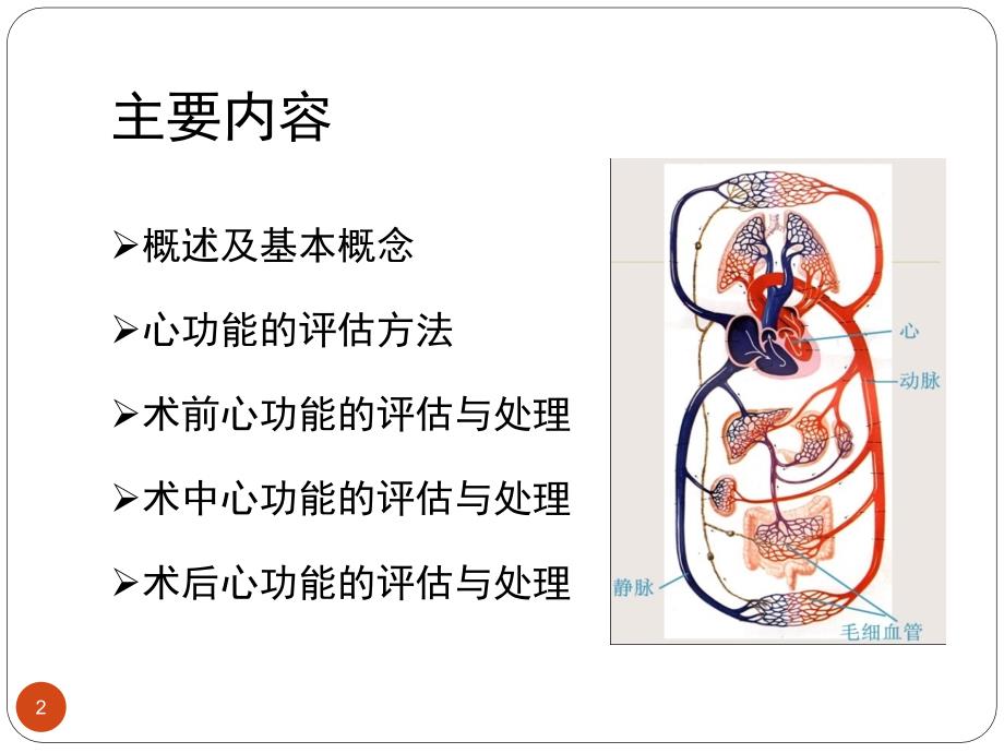 围手术期心功能评估及处理ppt课件_第2页