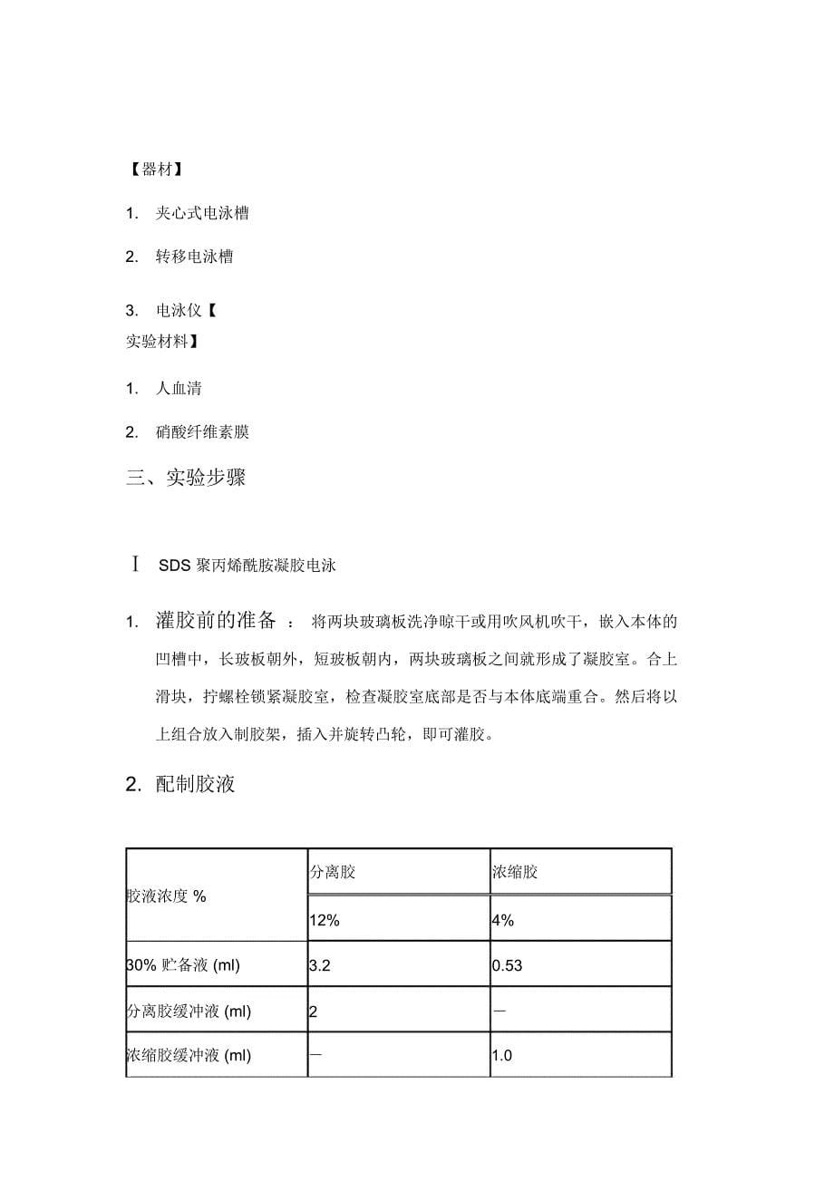 Western-Blotting实验报告_第5页