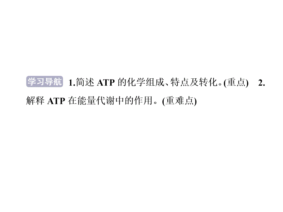 4.1.1 生命活动的能量“通货”——ATP_第3页