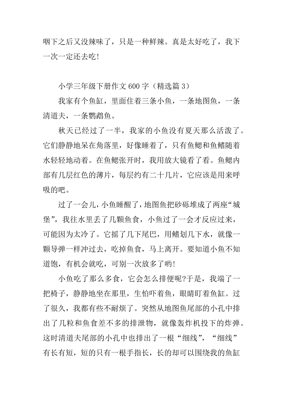 2023年小学三年级下册作文600字_第4页