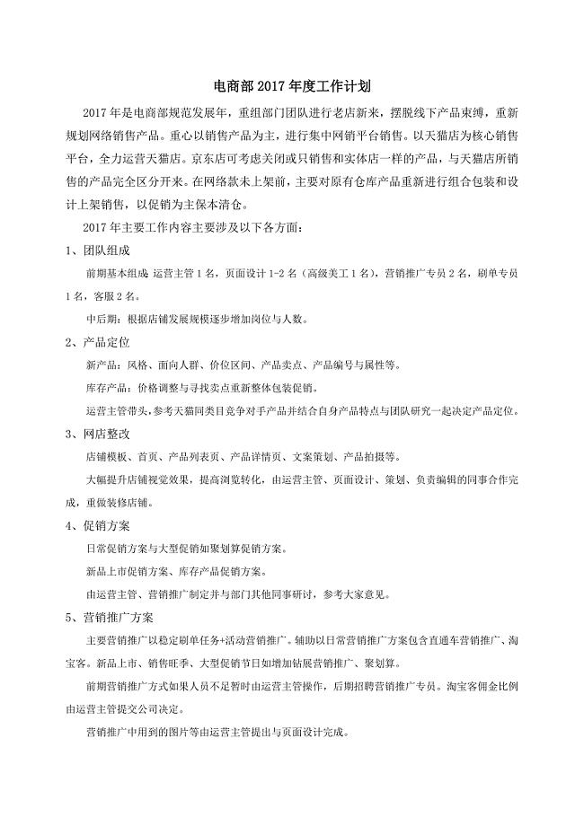 2017电商运营总监年度工作计划
