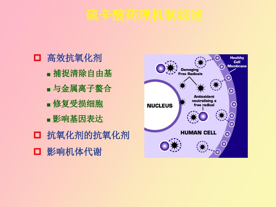 硫辛酸在骨科治疗中的应用_第4页