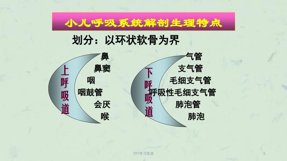 儿童解剖生理特点和液体平衡ppt课件_第3页