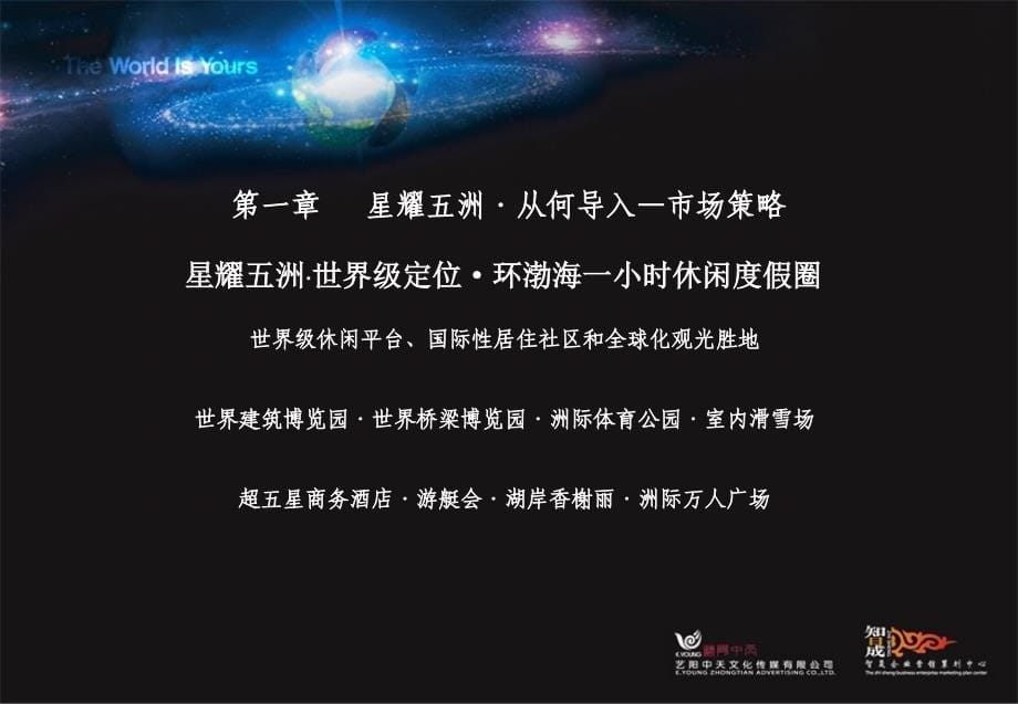 天津天嘉湖星耀五洲地产公关活动投标方案_第5页