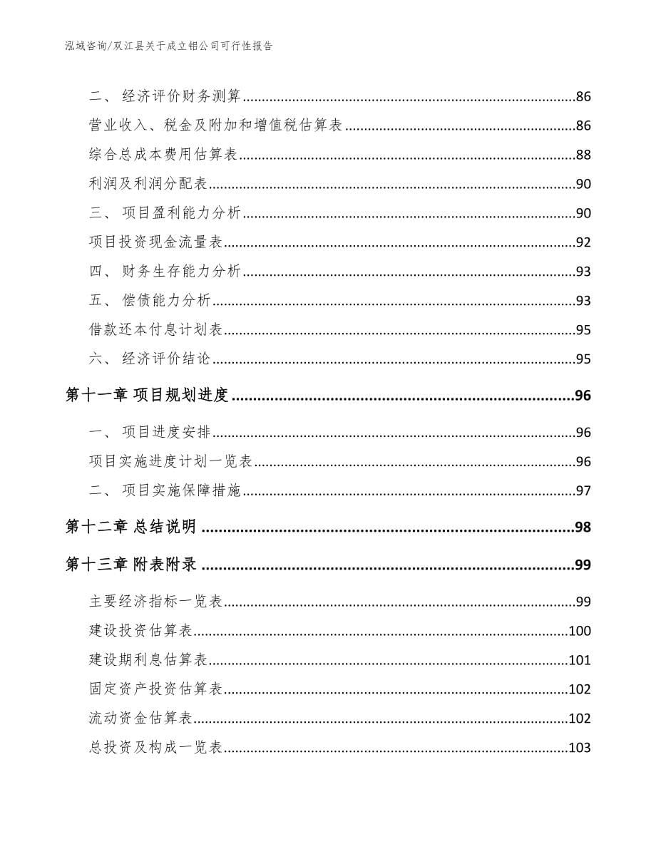 双江县关于成立铝公司可行性报告模板参考_第5页