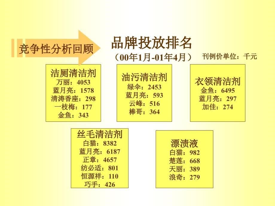 蓝月亮媒介策划建议书_第5页