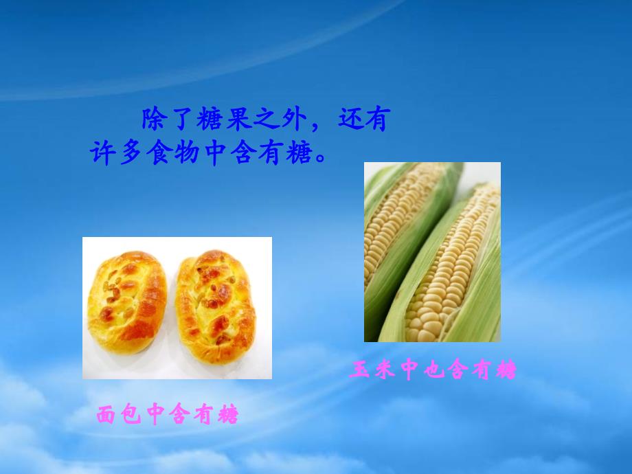 生命的基础能源——糖类(PPT40页)_第3页