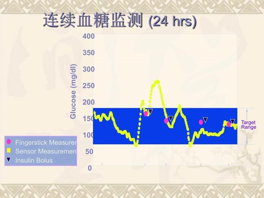 动态血糖监测系统_第5页