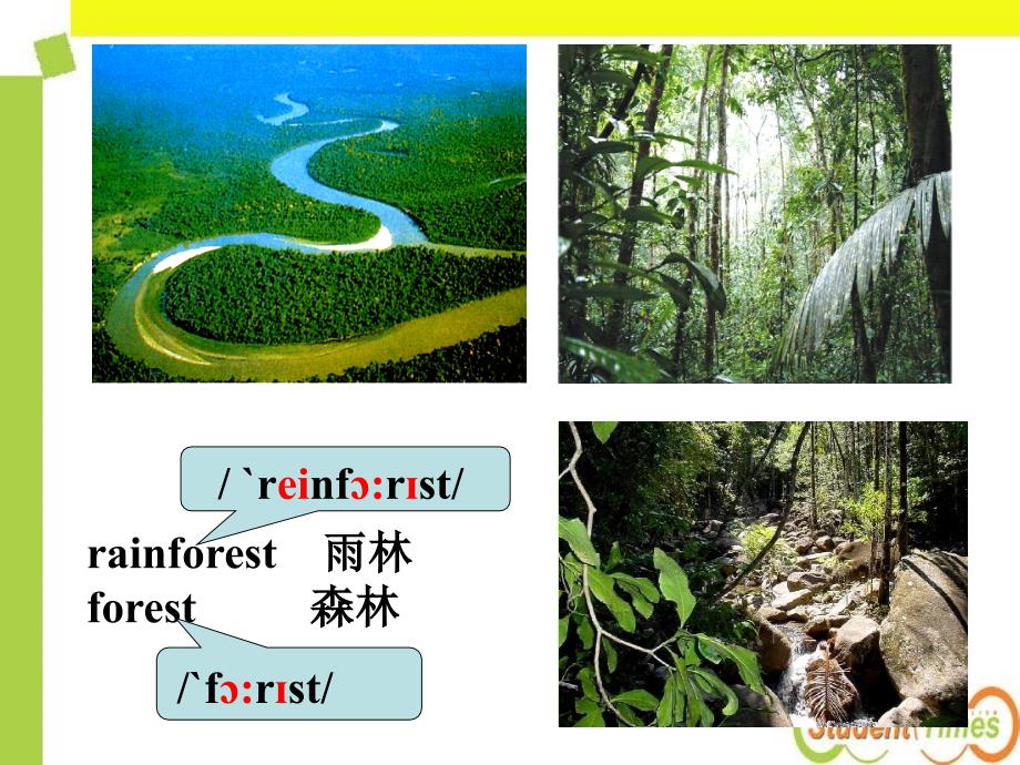 仁爱版英语八年级unit4topic1sectionC_第4页