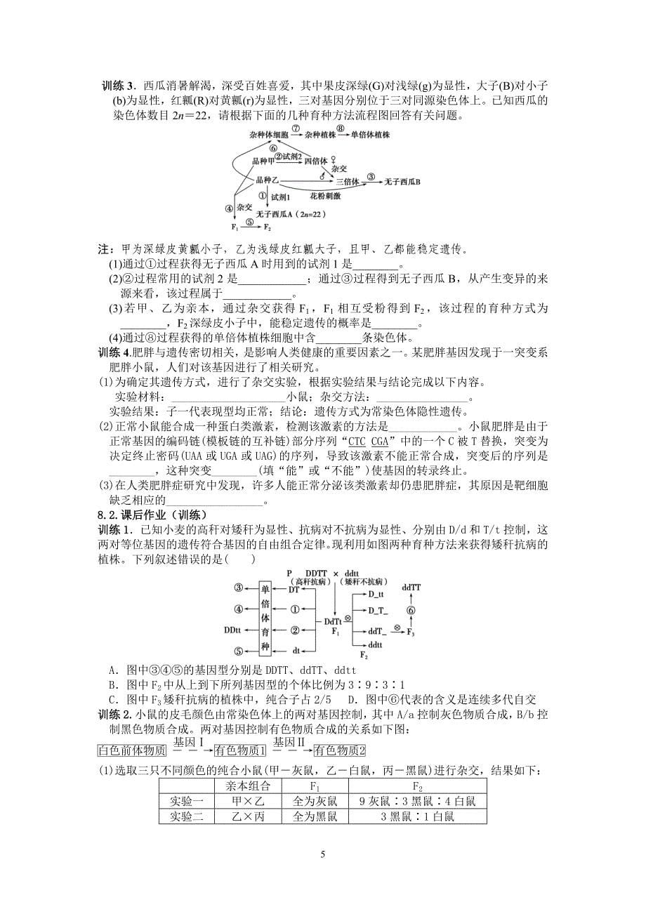 生物育种教学设计.doc_第5页