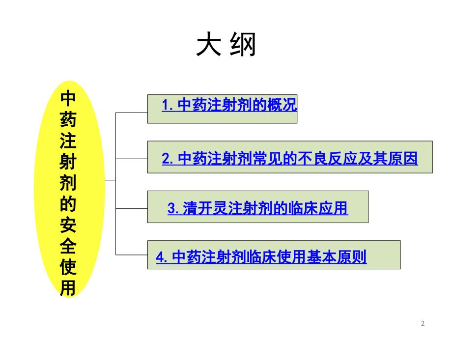 原件中药注射液安全使用培训课件_第2页