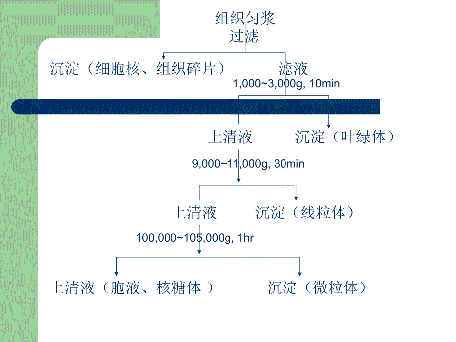 农药的代谢共54页课件_第3页