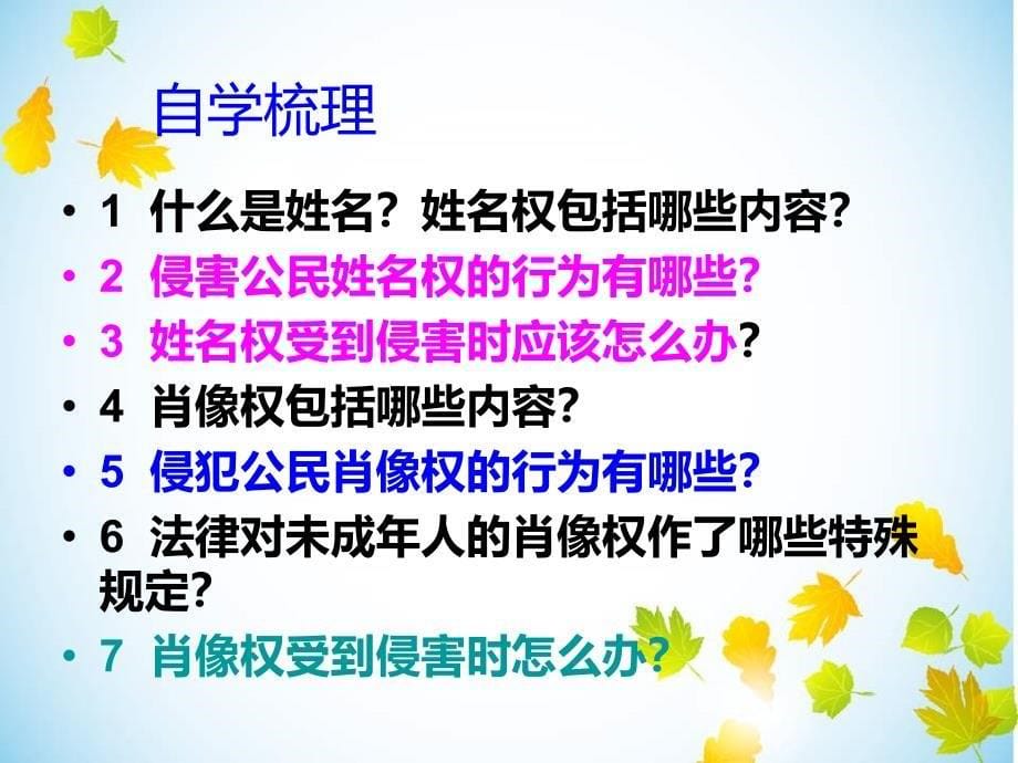 八下第四课第二框肖像和姓名中的权利_第5页