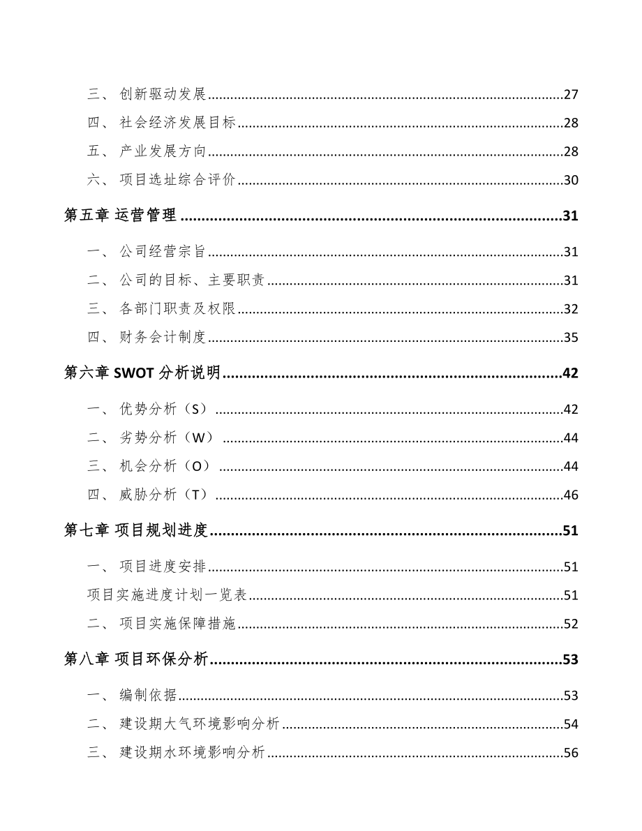 某某鞋材项目研究报告_第2页