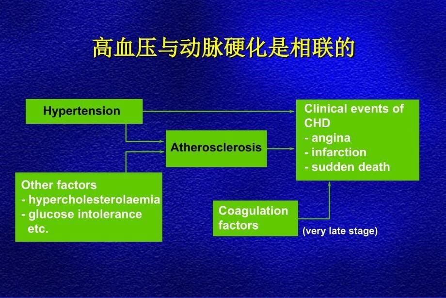 高度脂溶性钙离子拮抗剂在高血压动脉硬化中的应用孙宁玲课件_第5页