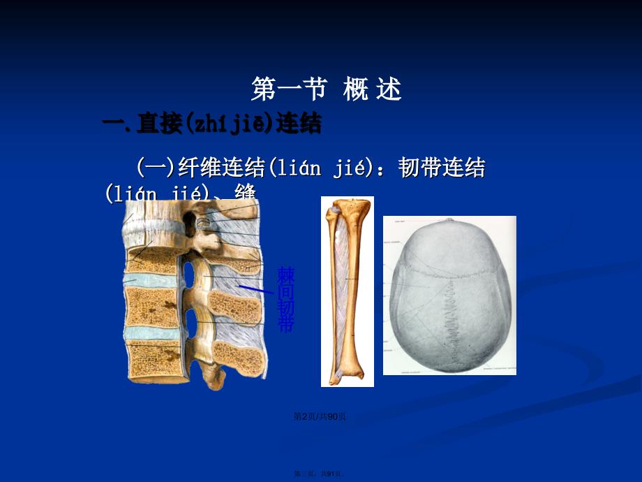 二关节肌学学习教案_第3页