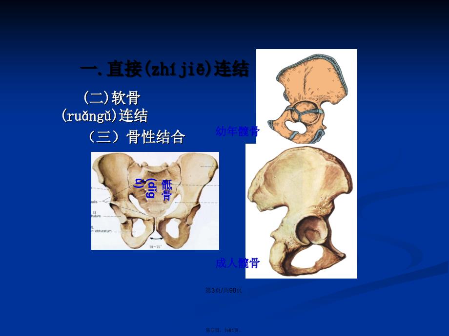 二关节肌学学习教案_第4页