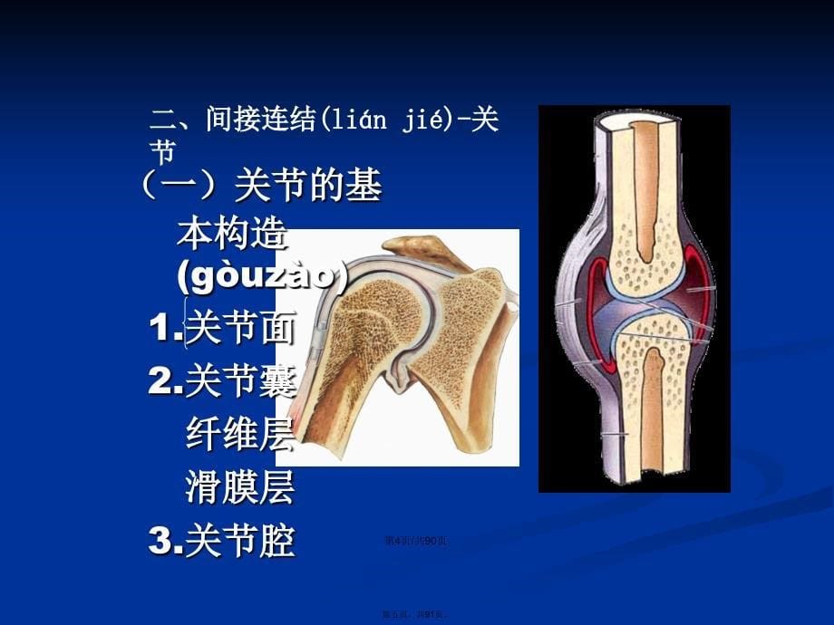 二关节肌学学习教案_第5页