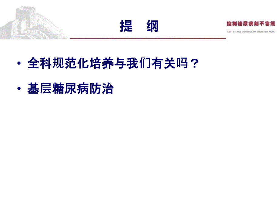 2013基层糖尿病指南培训-文档资料_第2页