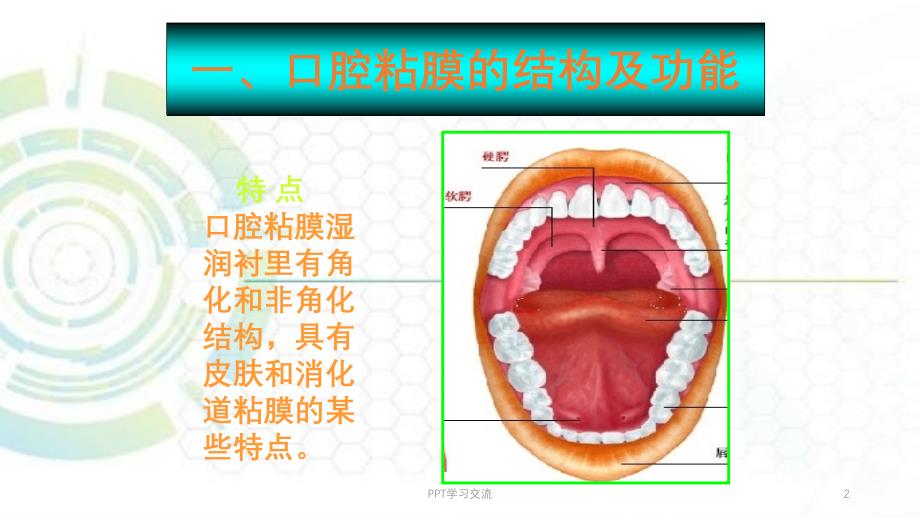 复发性阿弗他溃疡诊疗规范ppt课件_第2页