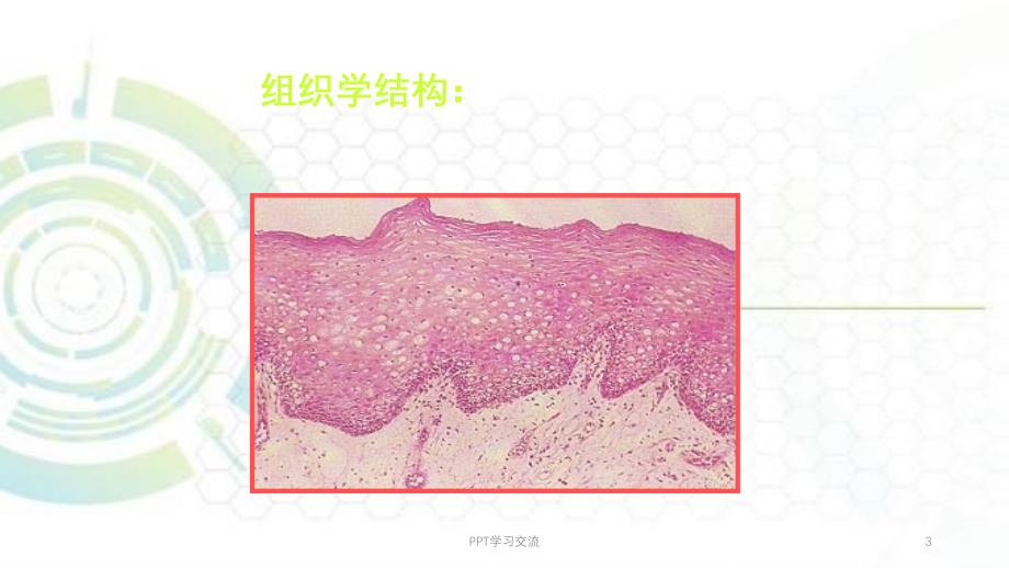 复发性阿弗他溃疡诊疗规范ppt课件_第3页