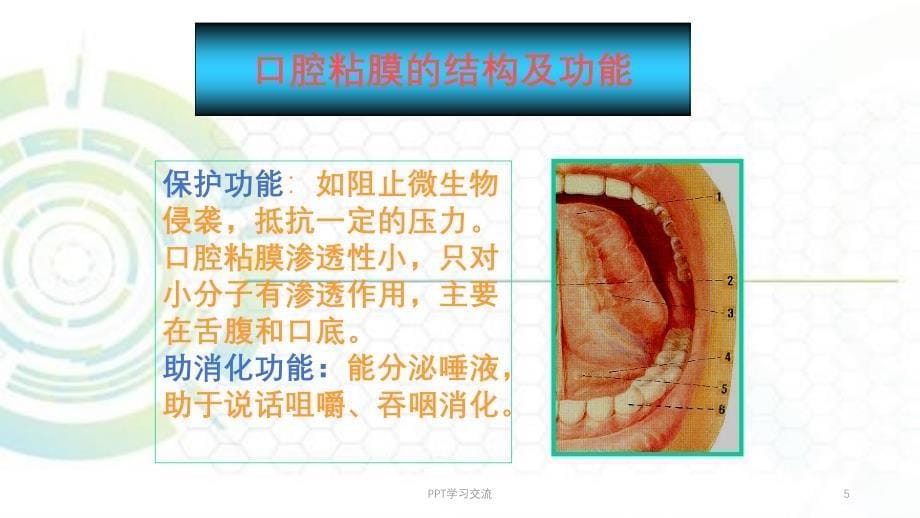 复发性阿弗他溃疡诊疗规范ppt课件_第5页