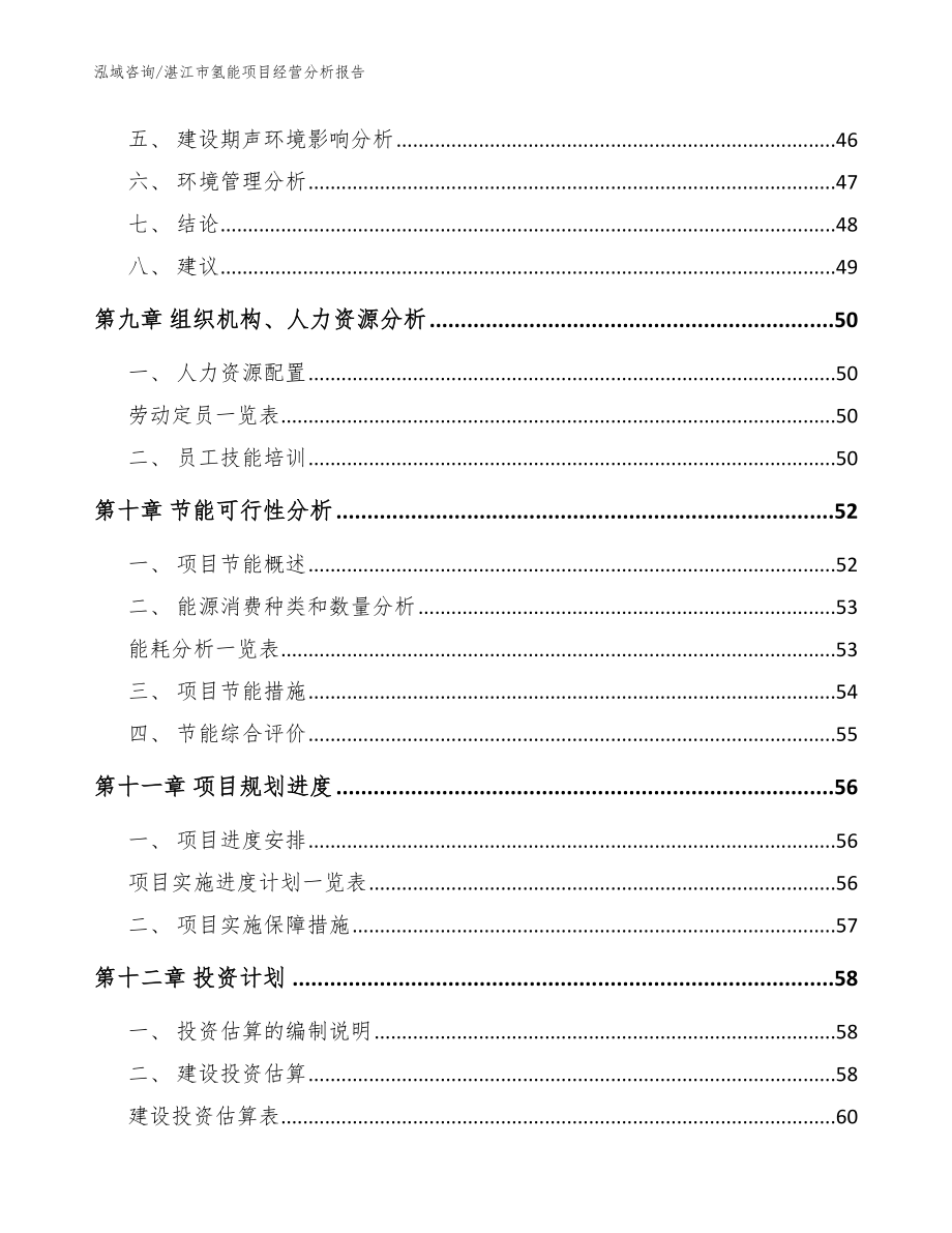 湛江市氢能项目经营分析报告_参考范文_第4页