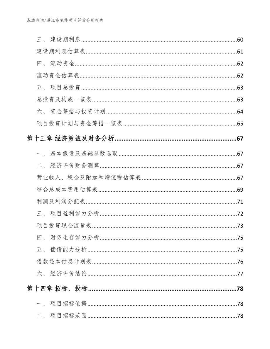 湛江市氢能项目经营分析报告_参考范文_第5页