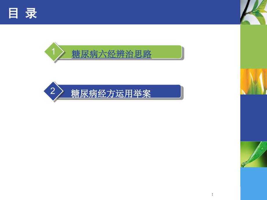 糖尿经方运用心悟ppt课件_第2页