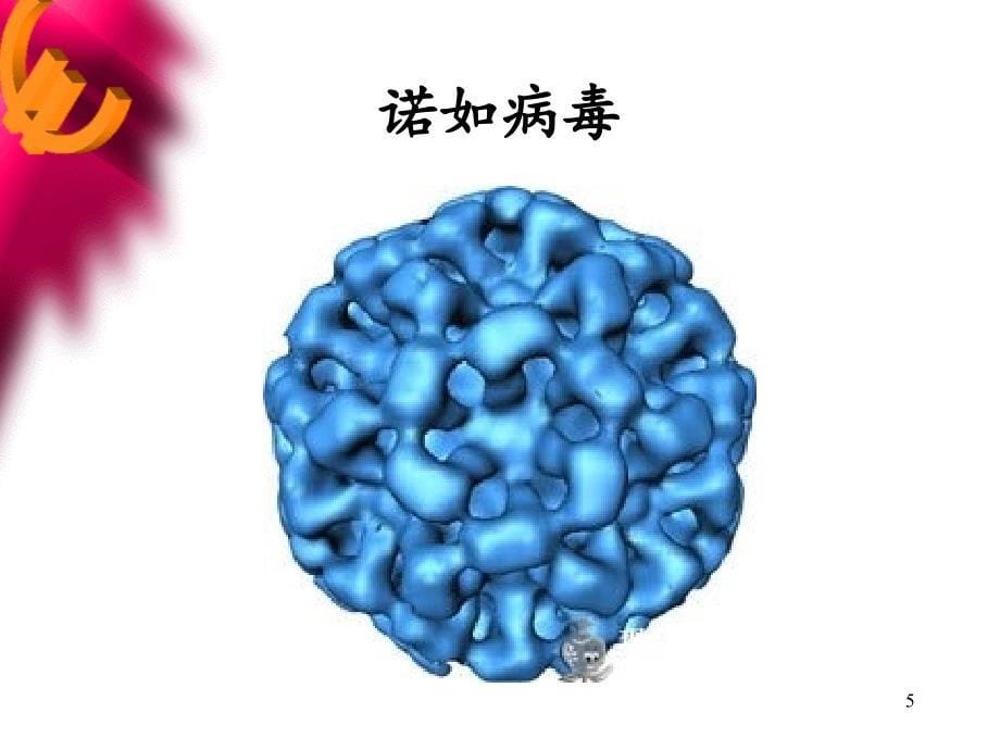 病毒腹泻分享资料_第5页