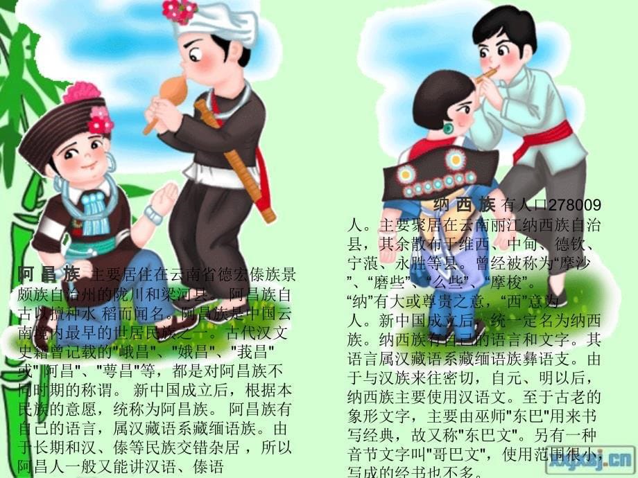 《我们的民族小学》定.ppt_第5页