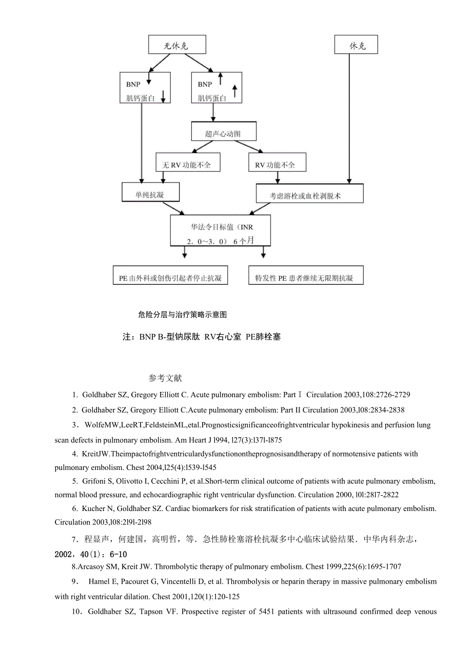 肺栓塞指南_第4页