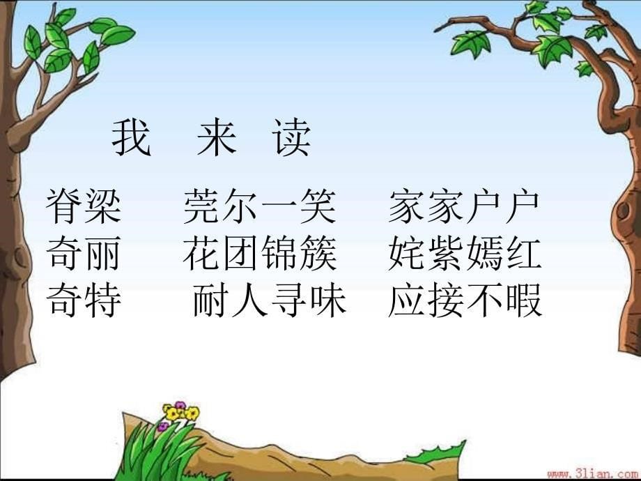 自己的花是给别人看的课件_第5页