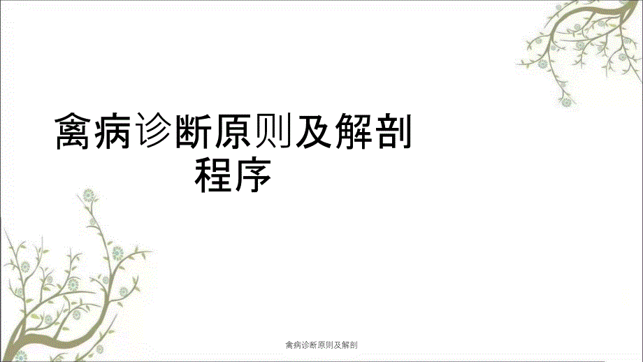 禽病诊断原则及解剖_第1页