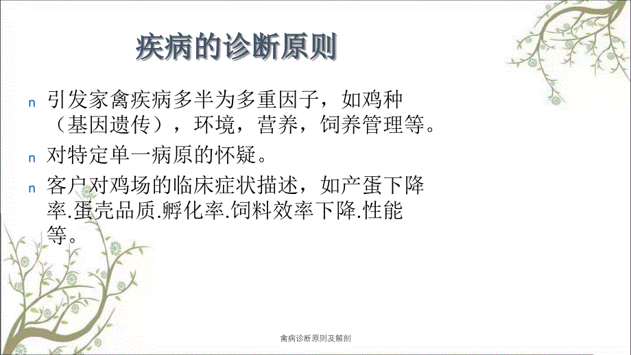 禽病诊断原则及解剖_第4页